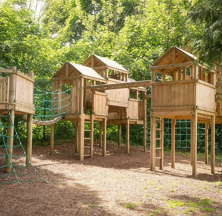 Multiplay image